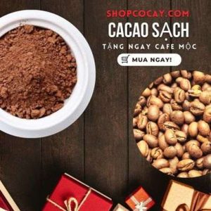 cacao-nguyen-chat-khong-cholesterol-shopcocay-0339542587-251222_1_100